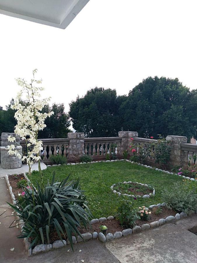 Apartmani Jovanovic Petrovac 外观 照片