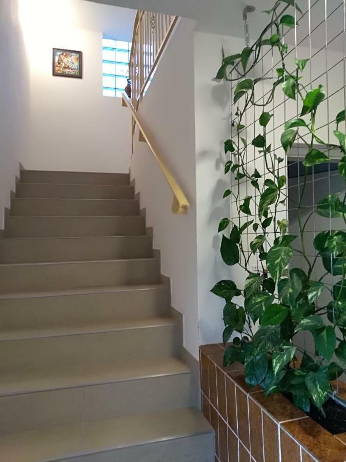Apartmani Jovanovic Petrovac 外观 照片