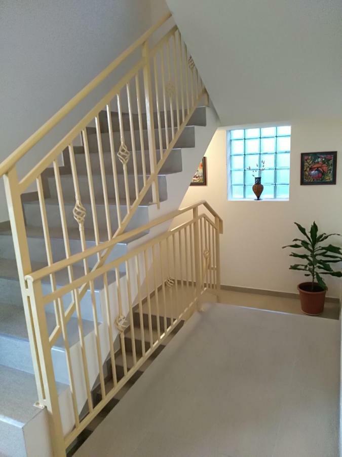 Apartmani Jovanovic Petrovac 外观 照片
