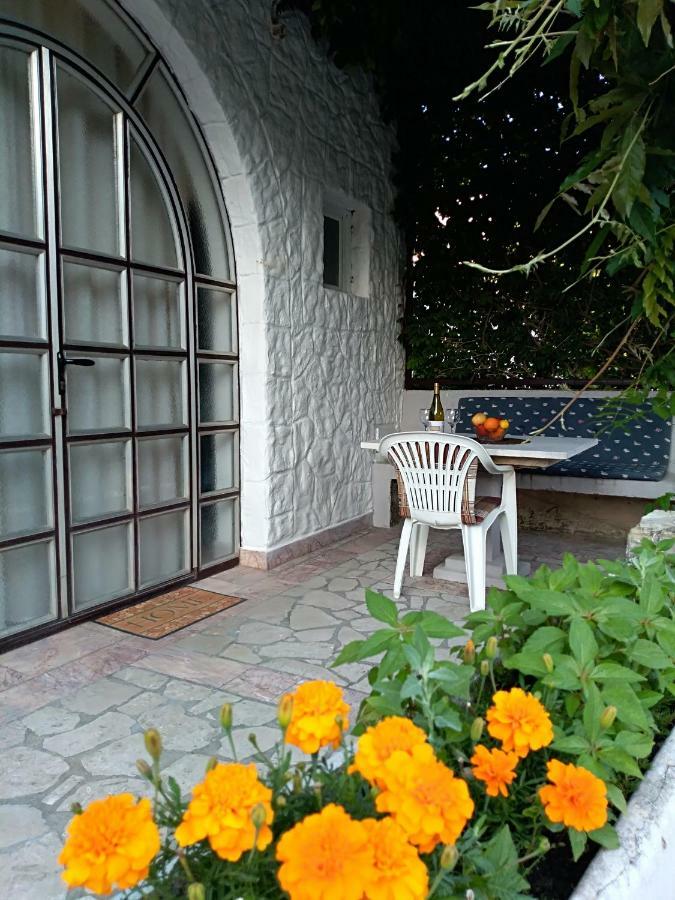 Apartmani Jovanovic Petrovac 外观 照片