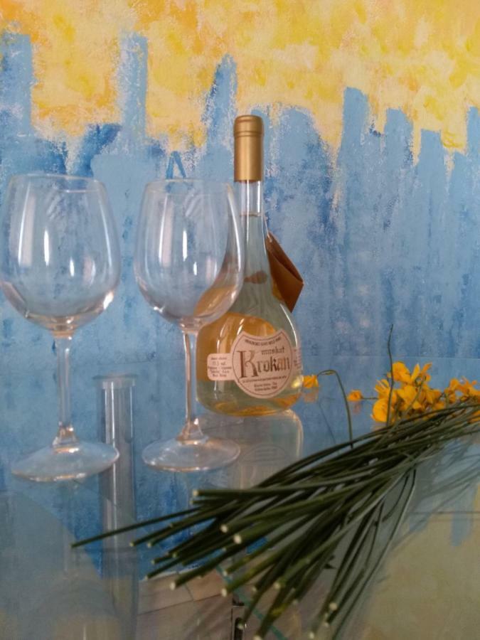 Apartmani Jovanovic Petrovac 外观 照片
