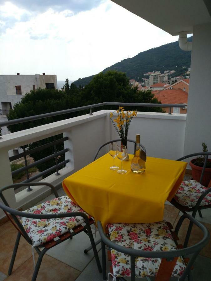 Apartmani Jovanovic Petrovac 外观 照片